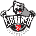 Eisbären Regensburg